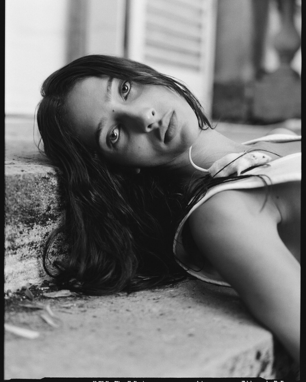 CR Fashion Book Cover - Semana Sebastian image 9